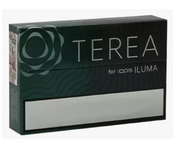 Стики Terea Black green крепкий табак с ментолом и зелёными фруктами (Индонезия) (блок - 10 пачек)