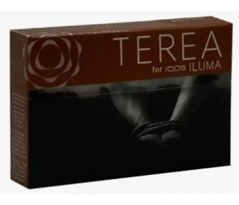 Стики Terea Bronze табак с какао и сухофруктами (Казахстан) (блок - 10 пачек)